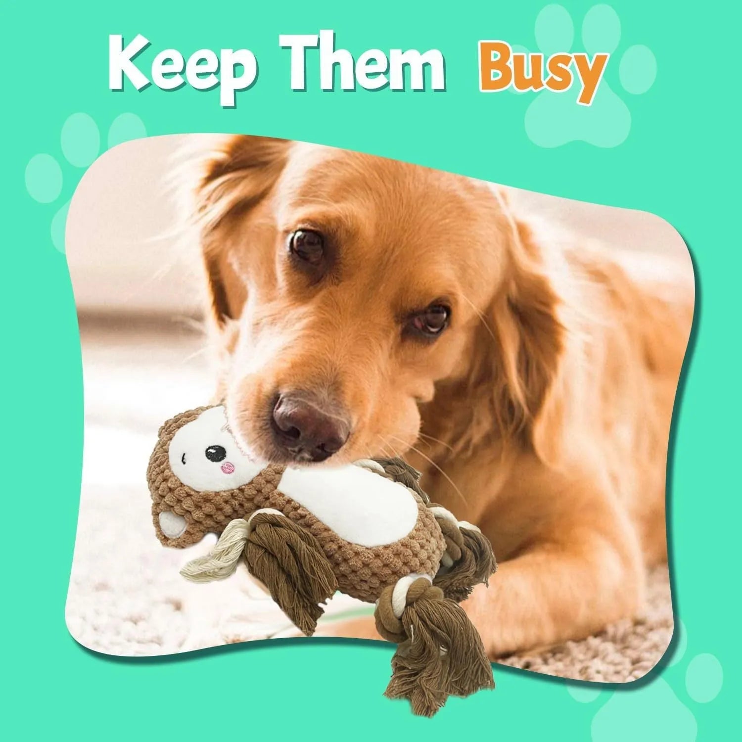 Lion and monkey plush squeaky dog toys side by side, showcasing two different designs in the bundle.