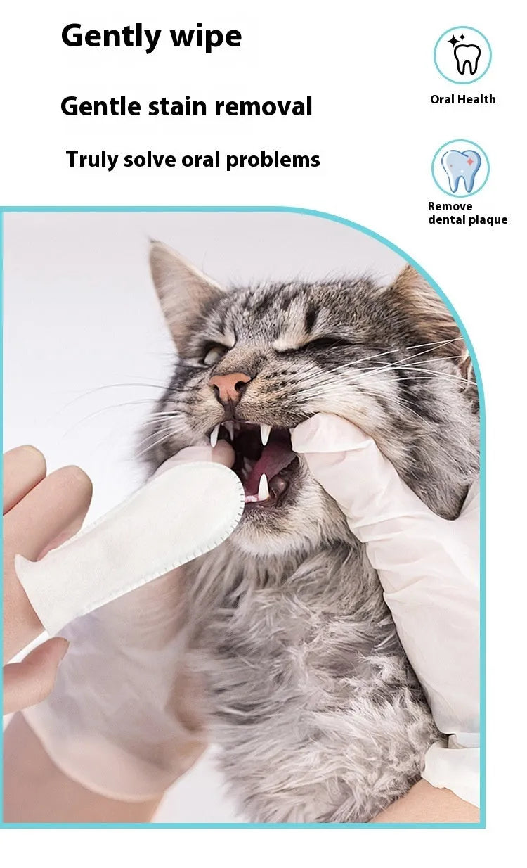 Pack of 50 white non-woven pet dental finger stalls for cleaning cat and dog teeth.
