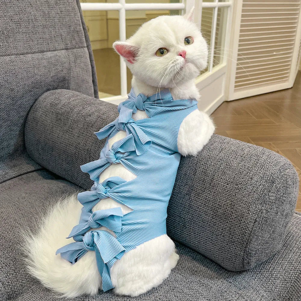 Cat wearing pink sterilisation recovery clothing with lace-up closure after surgery