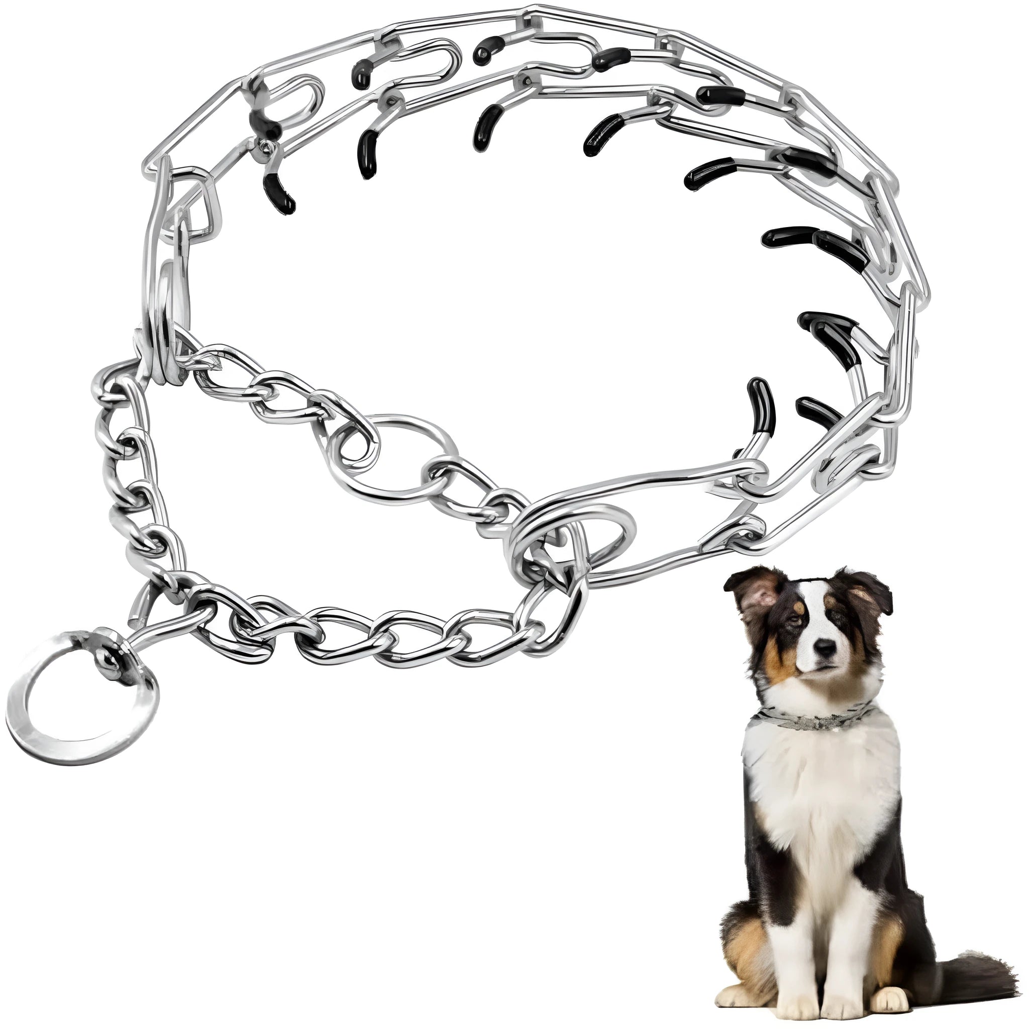 Stainless steel dog prong training collar with comfort rubber tips, shown in adjustable sizes.