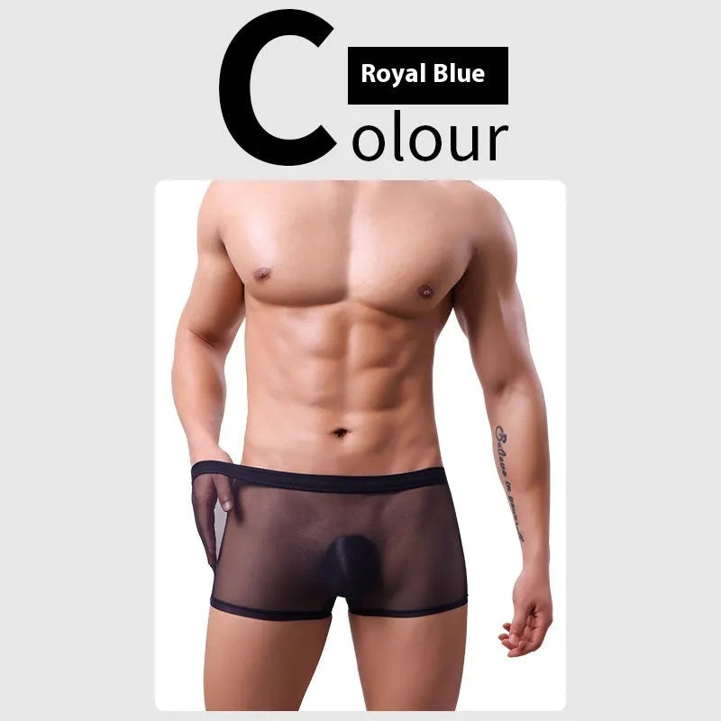 Men's mesh boxer briefs in black, white, green, pink, sapphire blue, and skin colour with low waist design