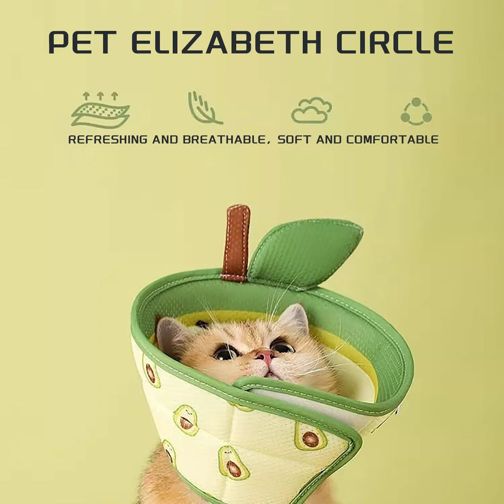 Soft grey EPE foam cat cone collar with adjustable white strap fastened around a cat's neck.