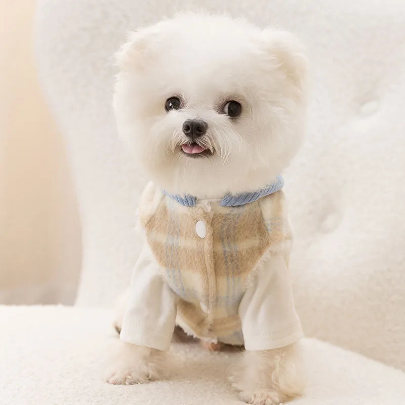 Blue corduroy pet hoodie vest with chessboard grid pattern and hood for a small dog.
