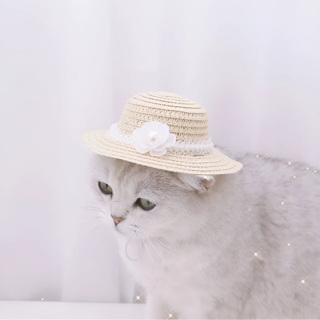 Cartoon-style adjustable paper hat for dog or cat on a neutral background, showing bowknot detail.