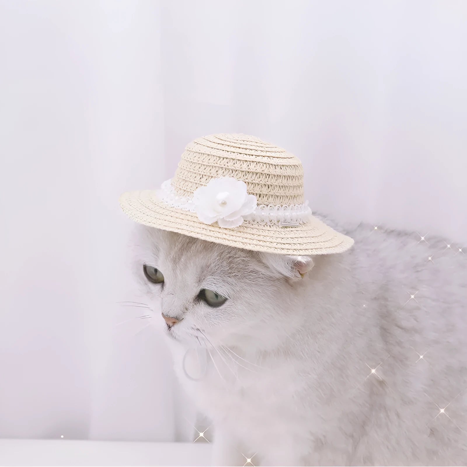 Cartoon-style adjustable paper hat for dog or cat on a neutral background, showing bowknot detail.