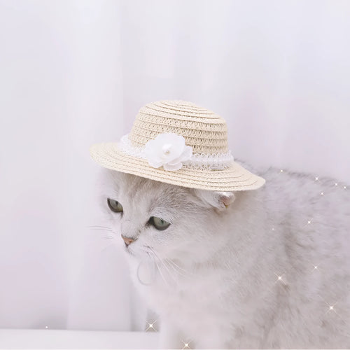 Cartoon-style adjustable paper hat for dog or cat on a neutral background, showing bowknot detail.