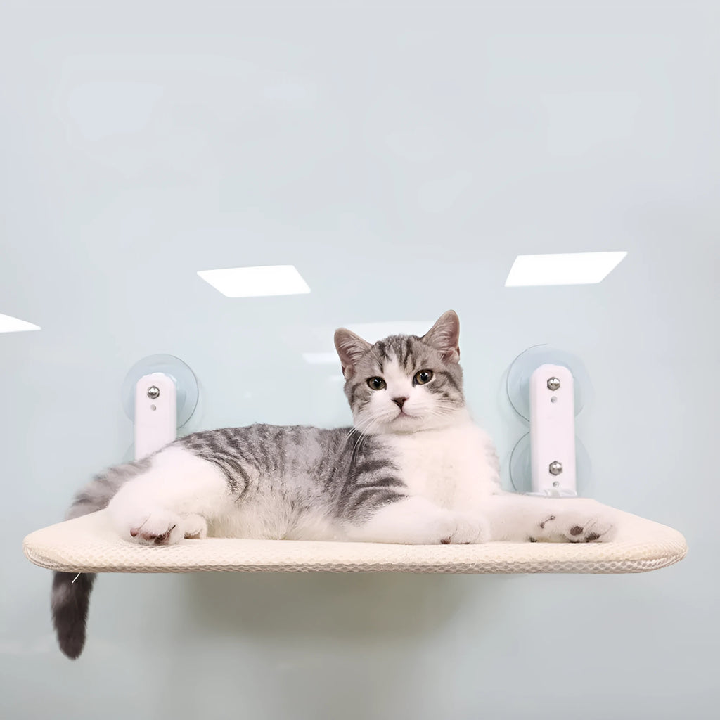 Foldable cat hammock with stainless steel suction cups mounted on a window, shown in grey plush fabric.