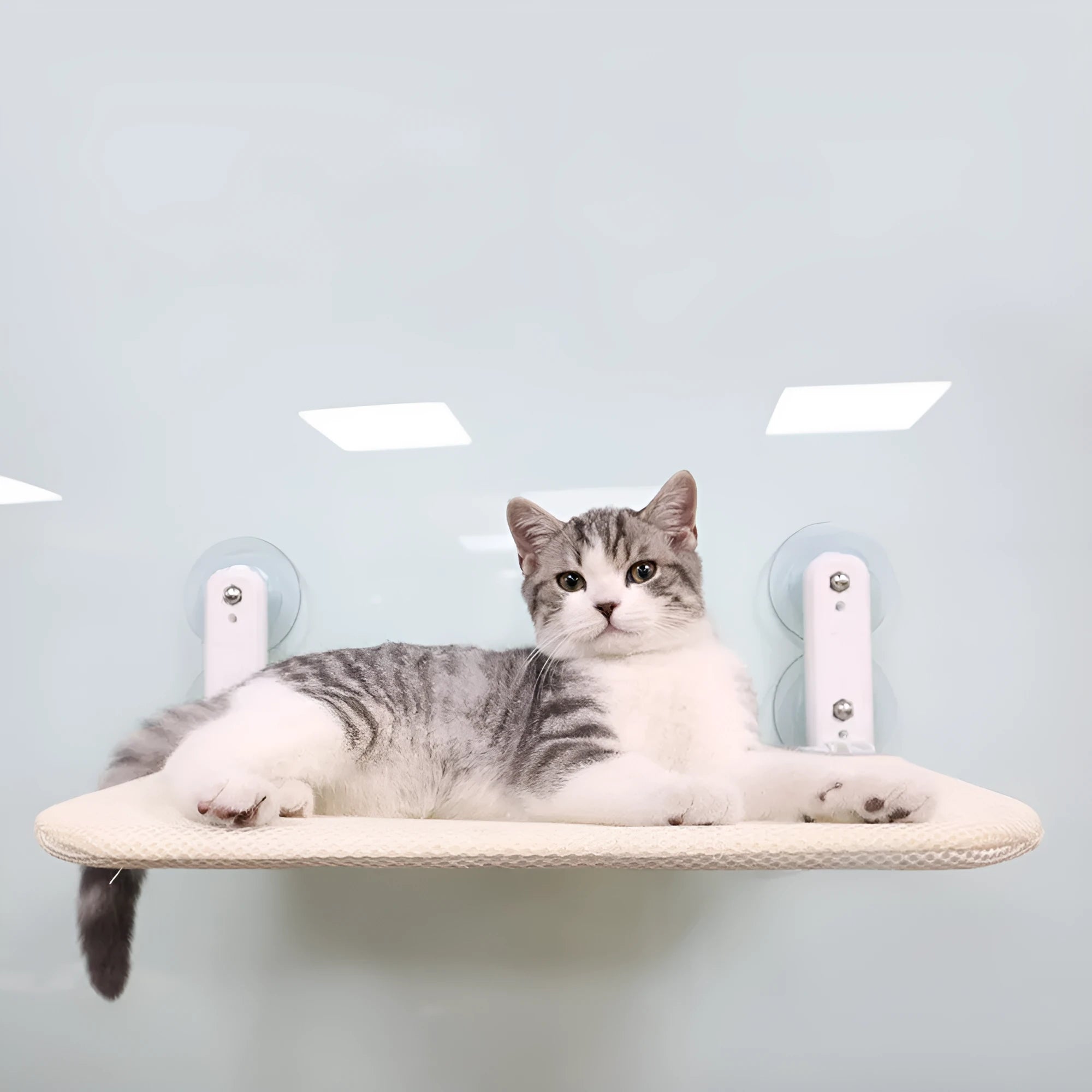Foldable cat hammock with stainless steel suction cups mounted on a window, shown in grey plush fabric.