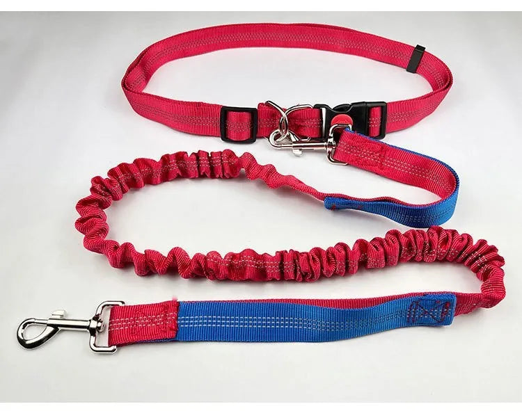 Grey and green reflective elastic dog running leash with a 2.5cm wide nylon strap.