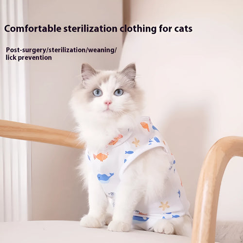 Cat wearing a blue printed post-operative recovery suit covering its torso, secured with Velcro fasteners.