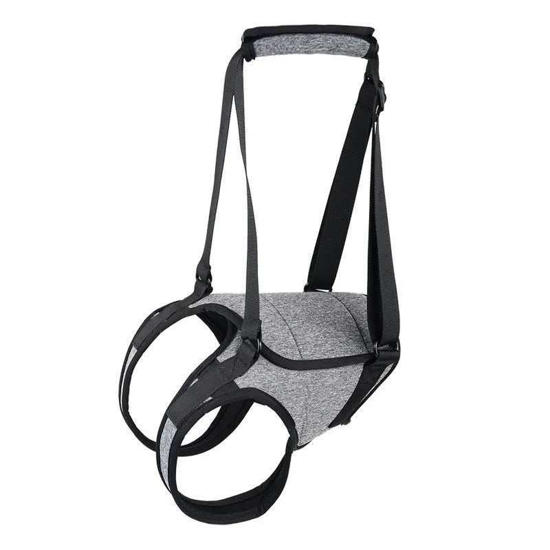 Grey neoprene dog rear leg recovery support belt showing sizing chart for S, M, L, and XL.