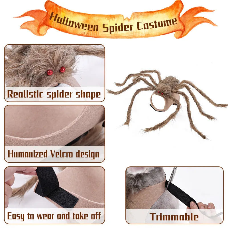 Halloween spider costume for pets in polyester fabric shown in available colours
