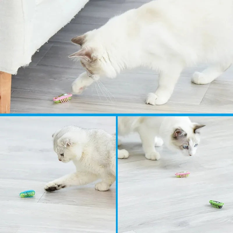 Electric ladybird beetle cat toy with self-righting feature and LR44 battery
