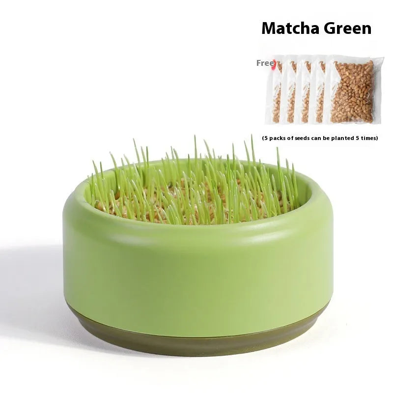 Hydroponic cat grass growing kit with choice of blue, green or yellow starter cups and five seed packs