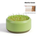Hydroponic cat grass growing kit with choice of blue, green or yellow starter cups and five seed packs