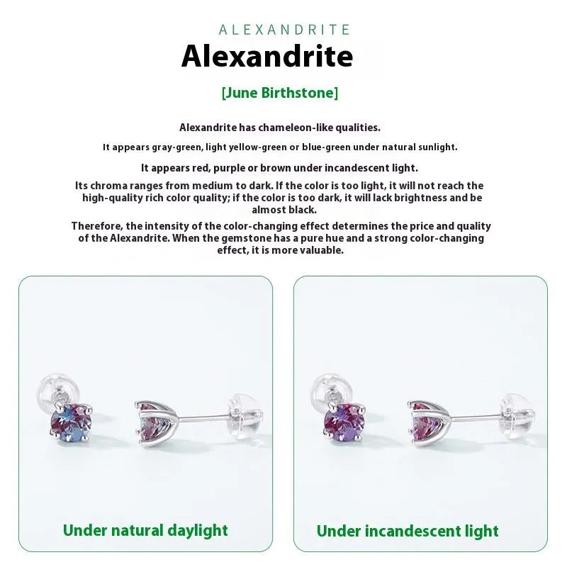 Women's sterling silver ear studs with round geometric Alexander stone in simple fashion style