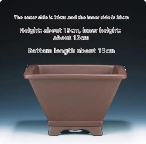 Square purple clay succulent bonsai pot in classical style on tabletop