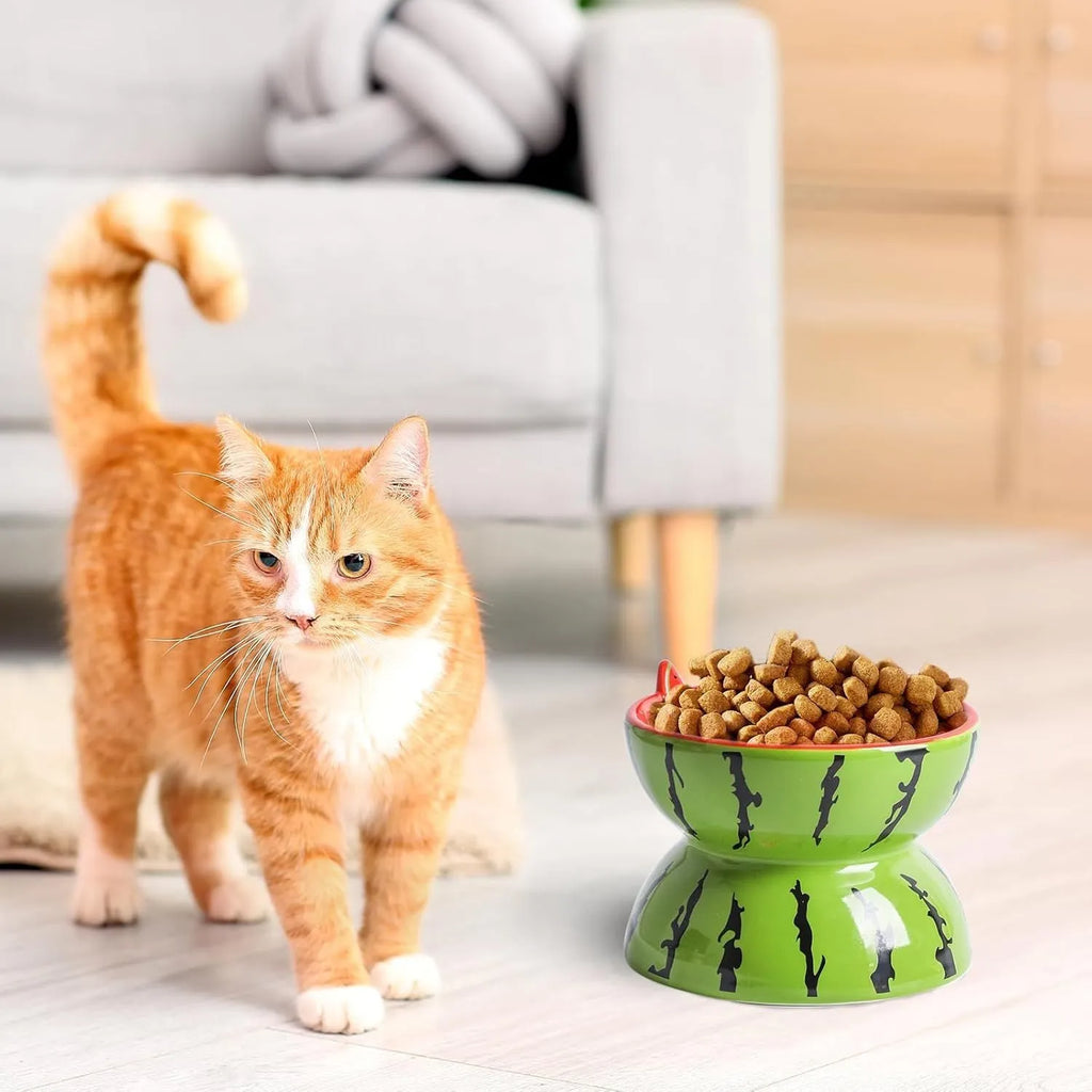 Ceramic raised cat bowl with tilted design and slip-resistant base for food and water feeding