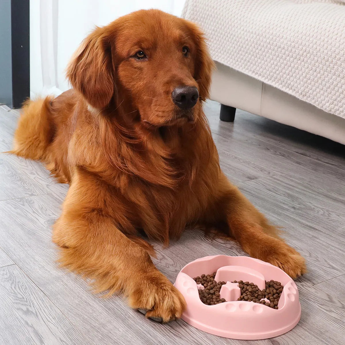 Blue star and wings design large plastic slow feeder dog bowl with maze pattern.