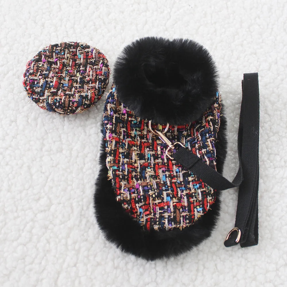 Dog wearing cloak costume with chest strap and matching traction rope in beret or bow style