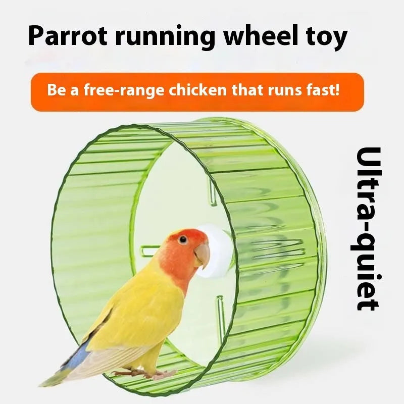 Plastic parrot running wheel toy for bird exercise in green colour