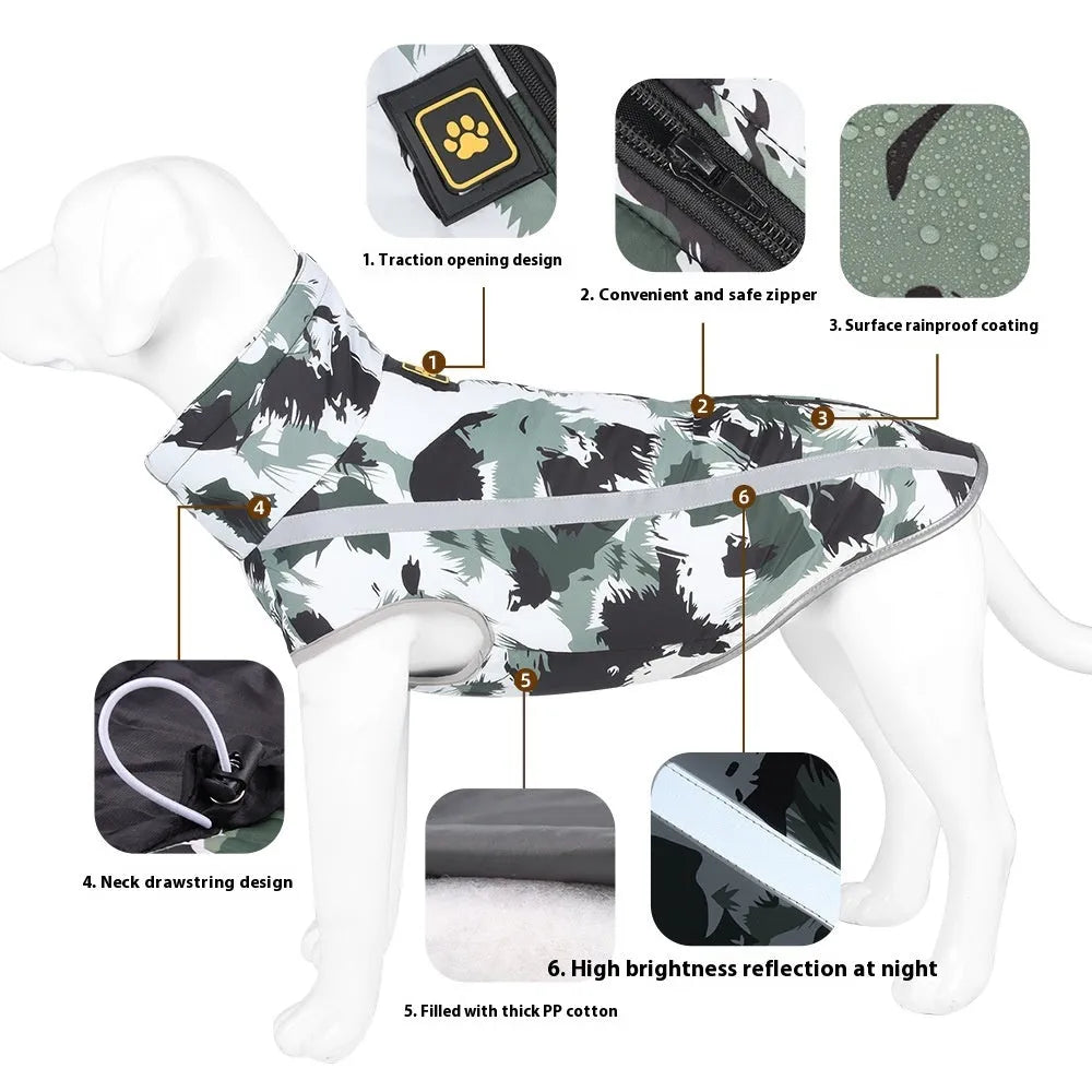 Large dog wearing a thick reflective polyester jacket in a graffiti print design for night safety.
