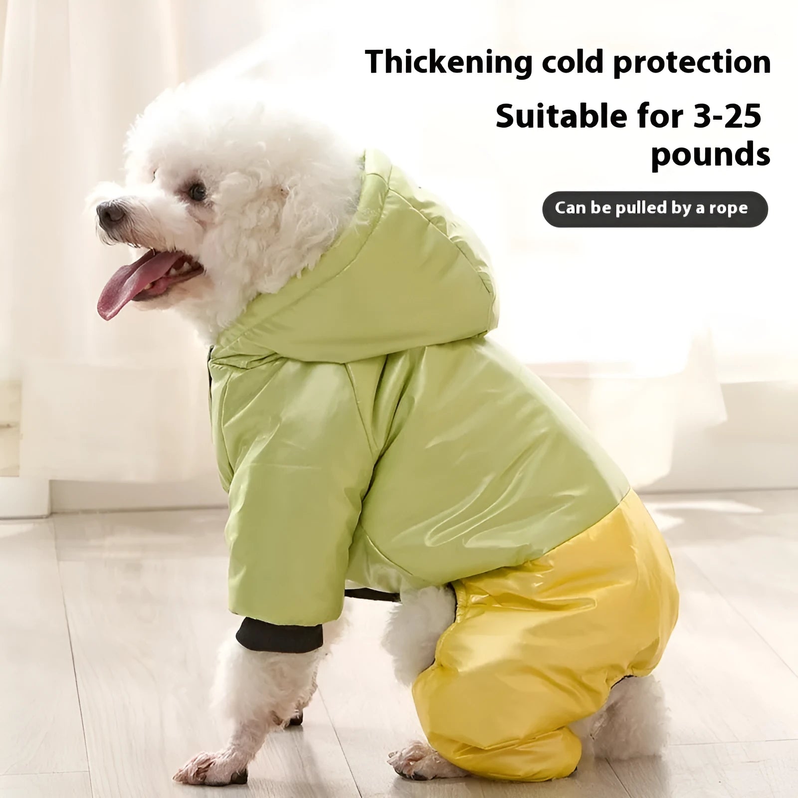 Green waterproof dog winter coat with cotton padding on small brown dog outdoors