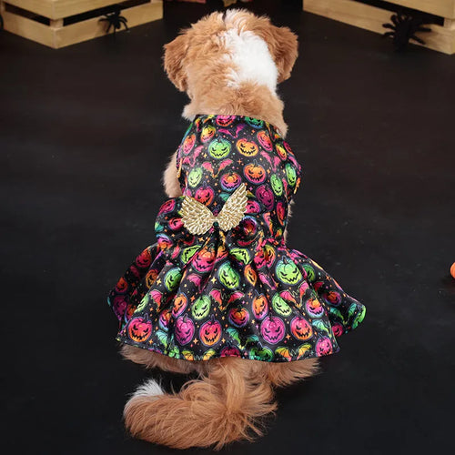 Angel wings Halloween dog costume in bright bat or pumpkin colour on pet