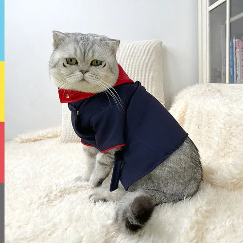 Cat and dog wearing hoodie costume for photography with adjustable sizing