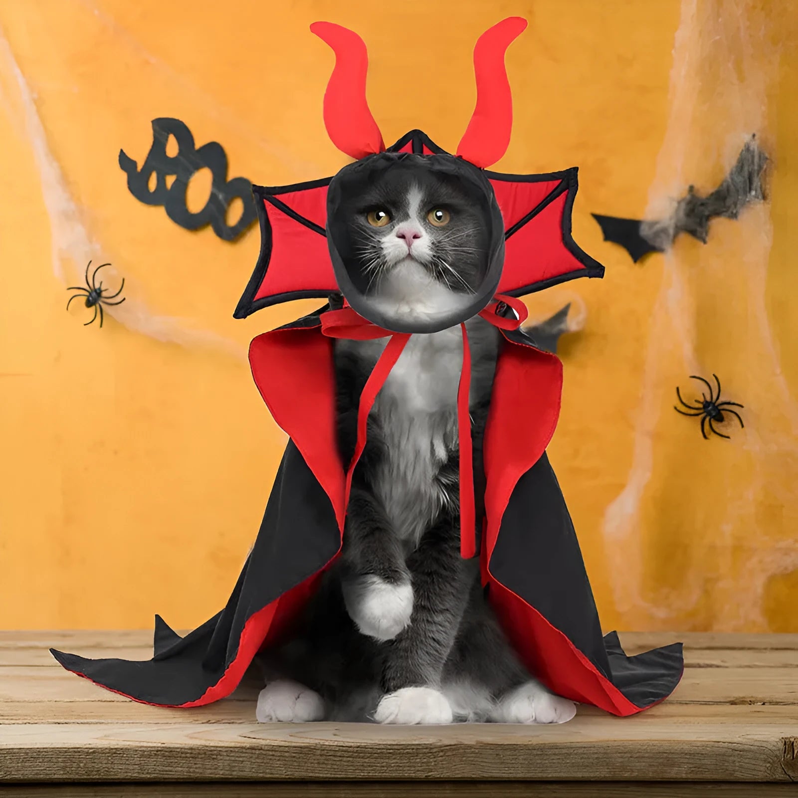 Black polyester vampire cloak and hat costume for a small dog or cat on Halloween.