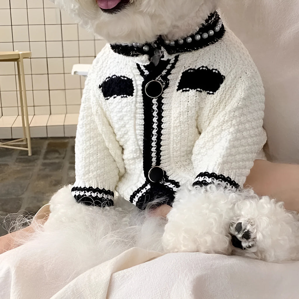 Korean style white dog sweater with pearl collar detail on small breed dog