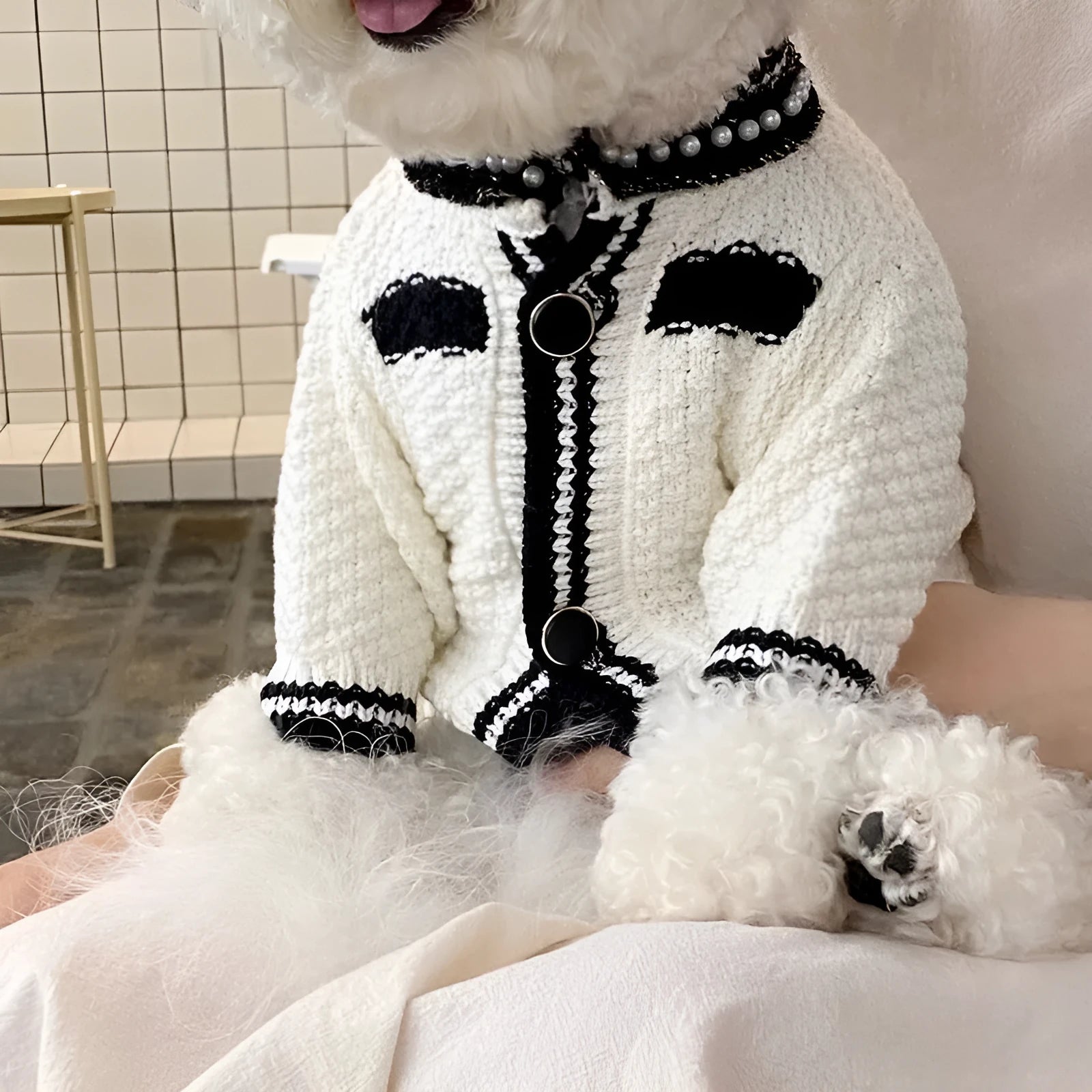 Korean style white dog sweater with pearl collar detail on small breed dog