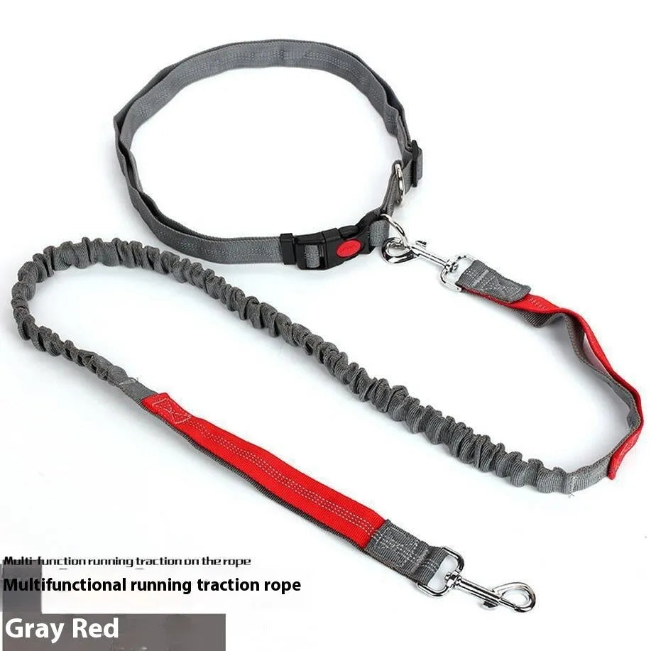 Grey and green reflective elastic dog running leash with a 2.5cm wide nylon strap.