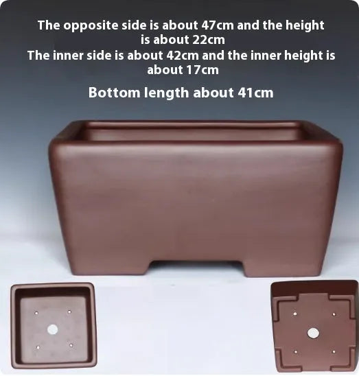 Square purple clay succulent bonsai pot in classical style on tabletop