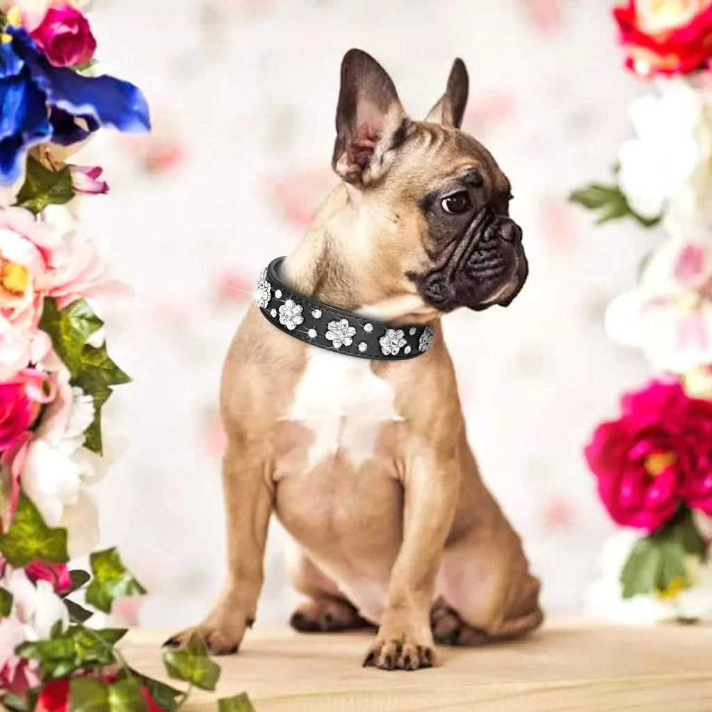 Black PU leather dog collar with rhinestone flower pattern and metal studs for small dogs
