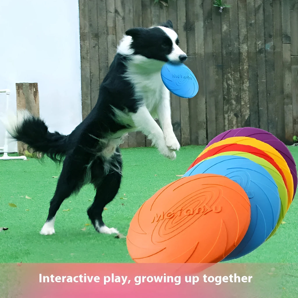 Soft rubber dog frisbee flying disc toy in red, shown in small, medium, and large sizes for outdoor fetch.