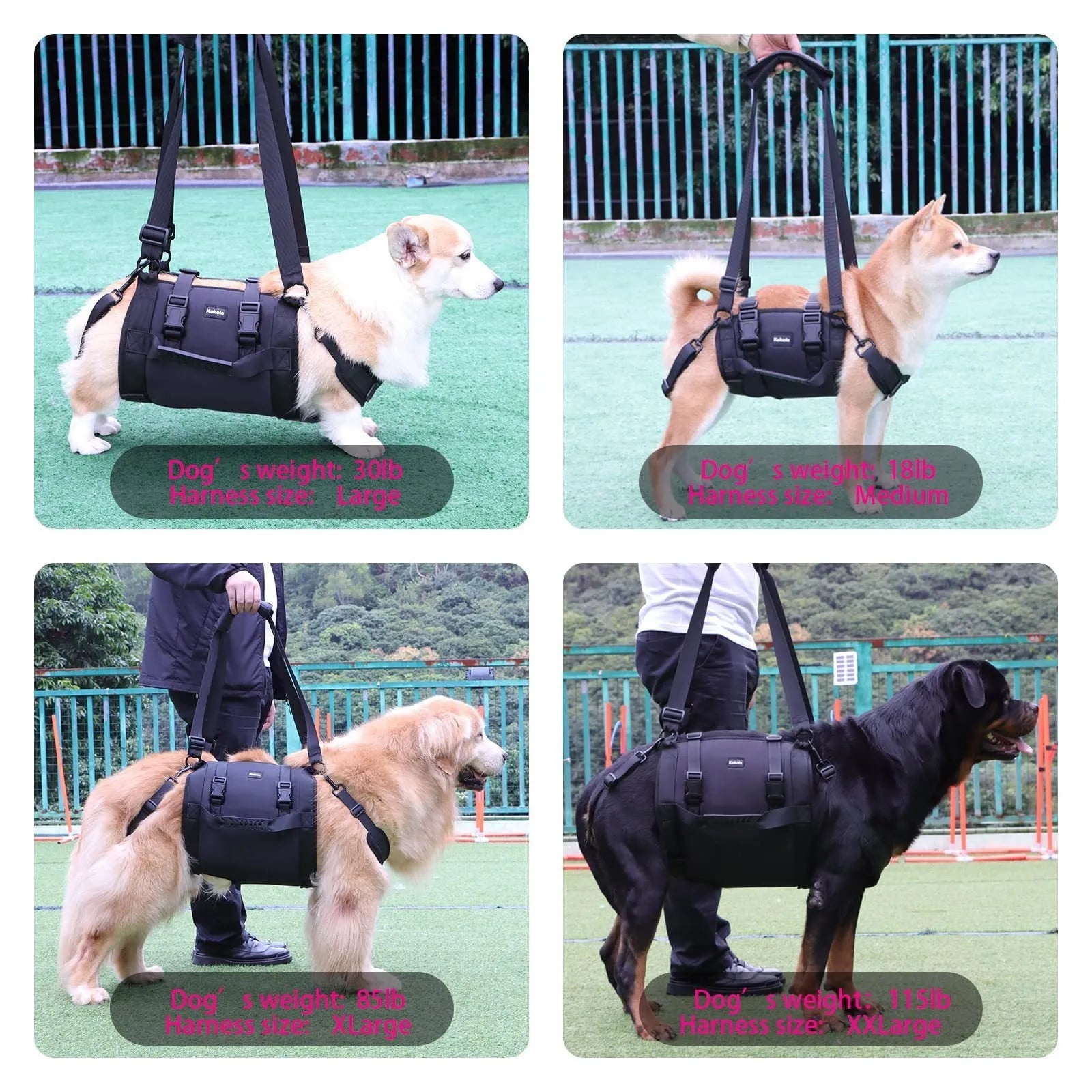Black Oxford cloth dog harness with breast strap and leg support shown on canine model