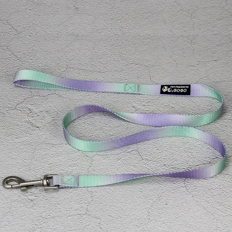 Gradient colour dog leash set showing pink and blue nylon collar and chest strap harness options