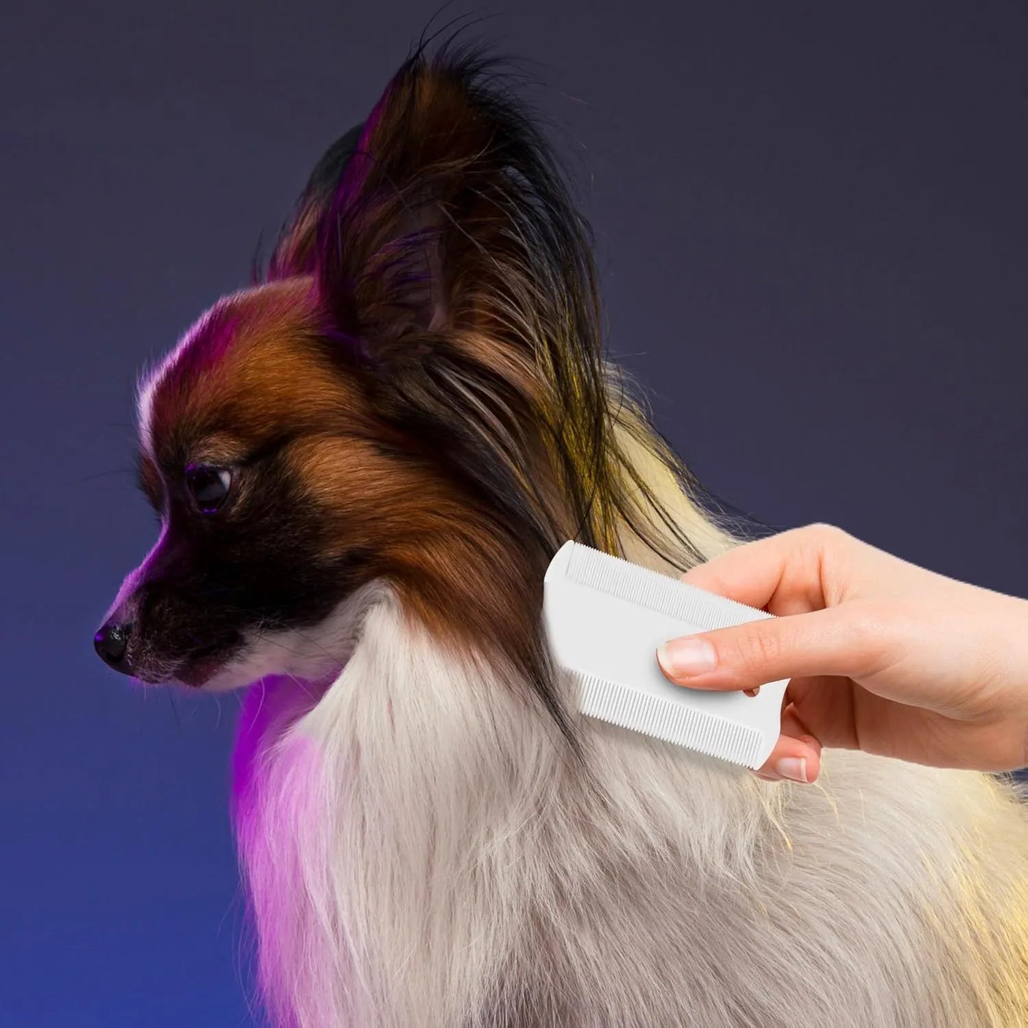 Small plastic pet flea comb with double-sided dense teeth for dog and cat facial grooming