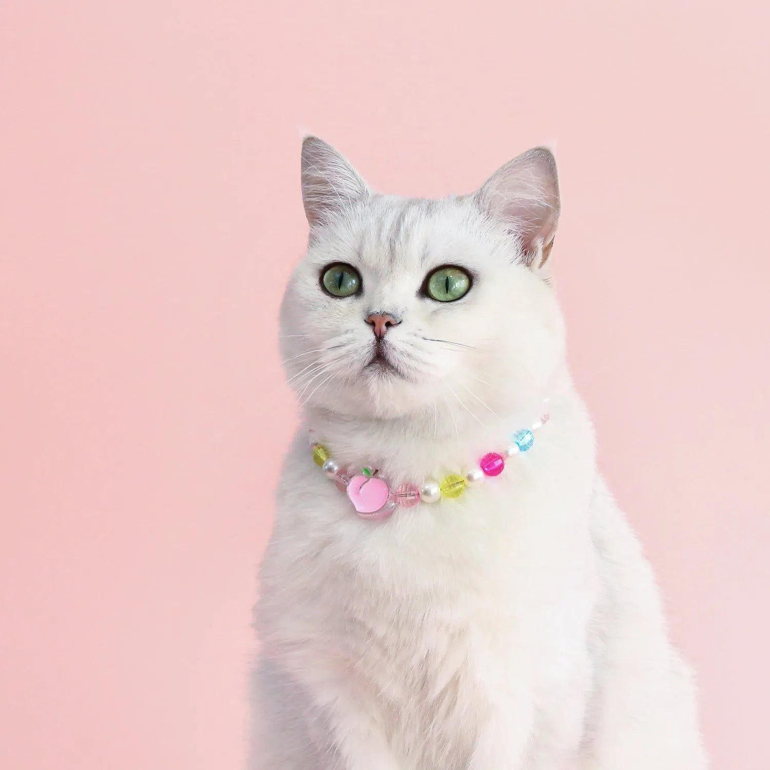 Colourful plastic bead pet necklace in peach, rainbow, or small flower patterns with adjustable sizing.
